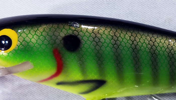 Modal Additional Images for Bagley Monster Shad   MSD-PGS9