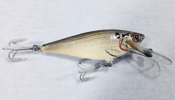 Bagley Monster Shad  4DSF5-SH4