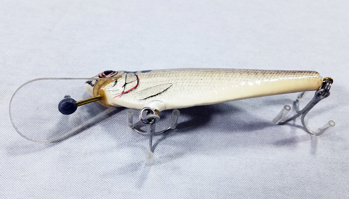 Modal Additional Images for Bagley Monster Shad  4DSF5-SH4