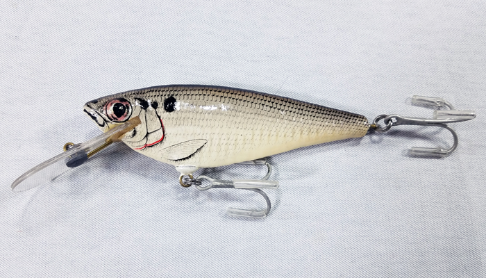 (image for) Bagley Monster Shad 4DSF5-SH4